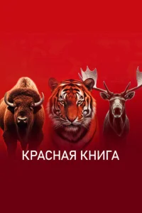 Постер к сериалу  Красная книга  1-2 сезон