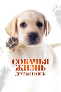 Постер к сериалу  Собачья жизнь: Друзья навек  1-2 сезон