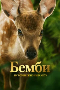 Постер к сериалу  Бемби. История жизни в лесу  1-2 сезон