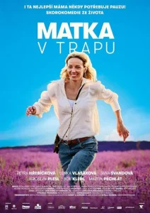 Постер к сериалу  Мать в ловушке  1-2 сезон