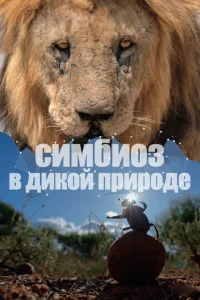Постер к сериалу  Симбиоз в дикой природе  1-2 сезон