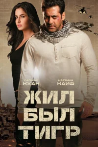 Постер к сериалу  Жил-был Тигр  1-2 сезон