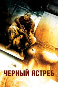 Постер к сериалу Черный ястреб 1-2 сезон