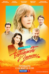 Постер к сериалу Однажды в Залесье 1-2 сезон