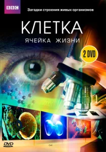 Постер к сериалу  BBC: Клетка  1-2 сезон