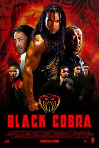 Постер к сериалу  Черная кобра  1-2 сезон