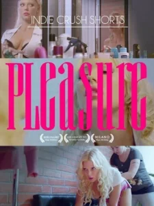 Постер к сериалу  Удовольствие  1-2 сезон