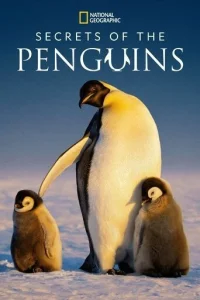 Постер к сериалу  Тайны пингвинов  1-2 сезон