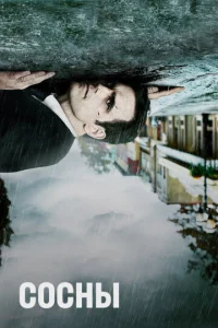 Постер к сериалу  Сосны  1-2 сезон