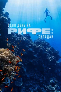 Один день на рифе: Сипадан  1 сезон