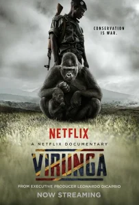 Постер к сериалу  Вирунга  1-2 сезон