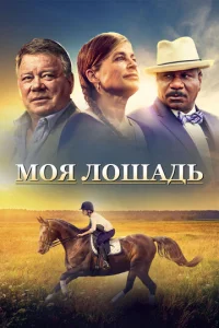  Моя лошадь  1 сезон